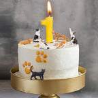 Toymany 8PCS Realistic Cat Figurines, Educational Cat Figures Toy Set, Kitten Halloween Cake Topper Christmas Birthday Gift for Kids Boys Girls Children