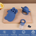 Baby Fruit Feeder & Breastmilk Popsicle Mold Set – 3 Pack Silicone Teething Relief Kit with Food Feeder Pacifier, Freezer Tray with Lid & Baby Teether Toy (Steel Blue)
