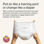 Coterie The Pant, Size 4, Refastenable Training Pants for Sensitive Skin, Hypoallergenic, Super Absorbent Overnight Leak Protection, 2T/3T (20-32 lbs) 136 Count
