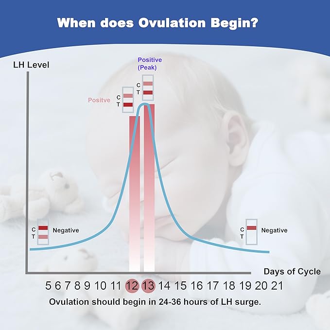 Ovulation Test Strips, Bulk Ovulation Tests, 50 Pack Fertility Tests with Collection Cups, Accurate LH Test for Home, Ovulation Predictor Kit, 5mm Wider 25 MIU/mL