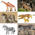 BOLZRA Safari Zoo Animals Figures Toys, 14 Piece Realistic Jungle Animal Figurines, African Wild Plastic Animals with Lion, Elephant, Giraffe Educational Learning Playset for Toddlers, Kids, Children