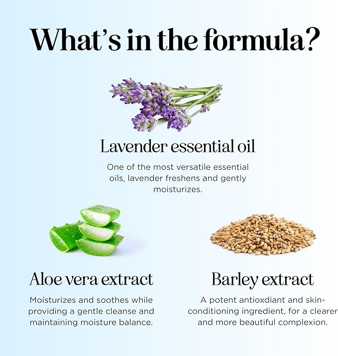 Lavender Bubble Bath for Kids with Aloe - Sudsy Baby and Kids Bath Wash with Relaxing Lavender Oil and Nourishing Barley Seed Extract Enriched with Aloe Vera - Sulfate and Paraben Free (16 Fl Oz)