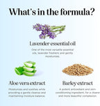 Lavender Bubble Bath for Kids with Aloe - Sudsy Baby and Kids Bath Wash with Relaxing Lavender Oil and Nourishing Barley Seed Extract Enriched with Aloe Vera - Sulfate and Paraben Free (16 Fl Oz)