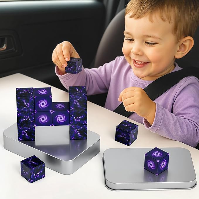3 otters 12PCS Magnetic Building Blocks, Travel Toys for Kids STEM Magnetic Cube with Storage Box for Boys Girls Birthday Gift (Portal)