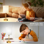 Dicoool Small Bedside Lamps 3 Color Modes - 2700K 3500K 5000K Bedroom Lamps with USB C and A Ports, Pull Chain Gold Table Lamps with AC Outlet, Nightstand Lamps with Gold Metal Base for Kids Reading
