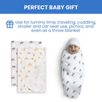 Delta Children 100% Cotton Flannel Baby Receiving Blankets for Girls and Boys – 30x30 Inches (Pack of 2), Safari Friends