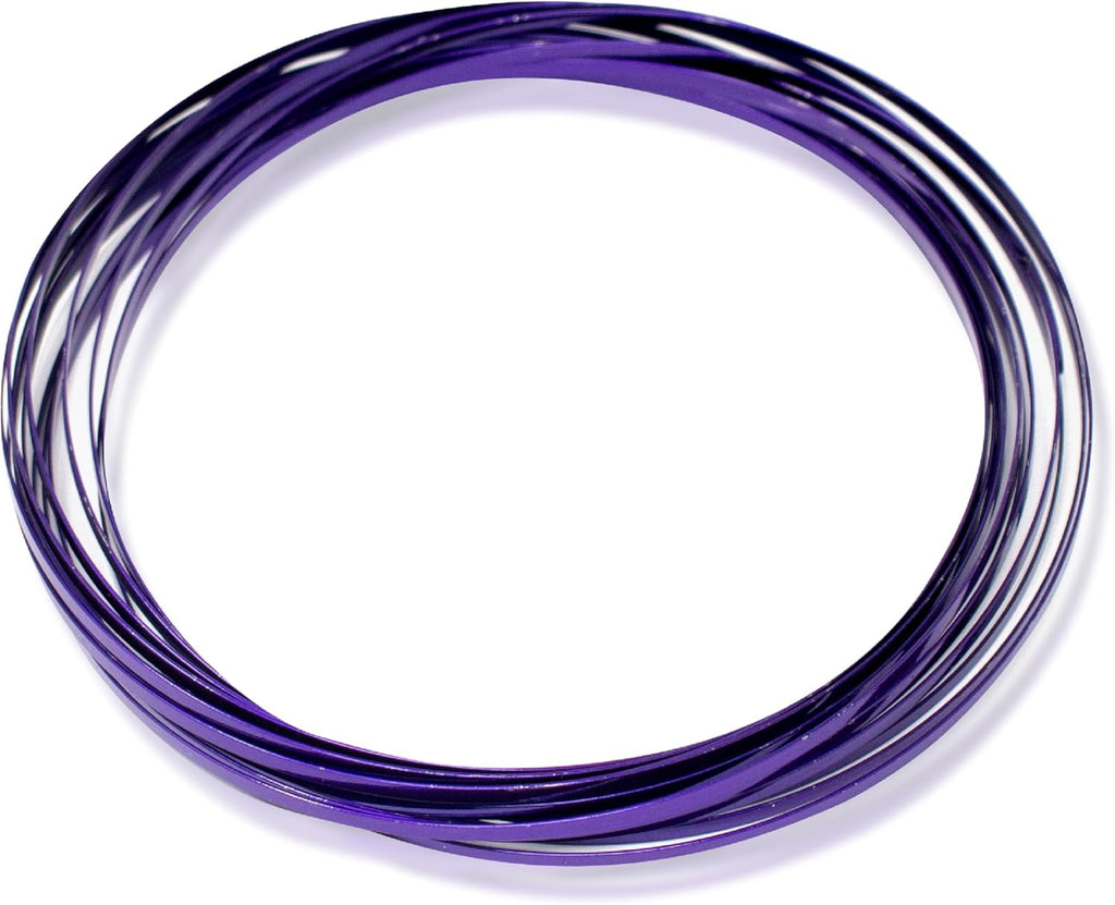 Digital Energy Kinetic Educational Spring Toy - Multi Sensory Interactive 3D Shaped Flow Ring ()