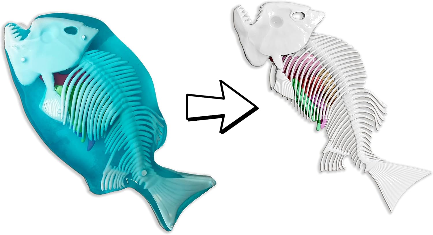 Dissect-It Simulated Synthetic Lab Dissection Toy, STEM Projects for Kids, Animal Science, Biology, Anatomy Home Learning Kit, Piranha