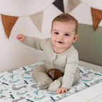 BROLEX Changing Pad Covers for Baby: Boy Girls Ultra Stretchy Soft 2 Pack Dinosaur Lion