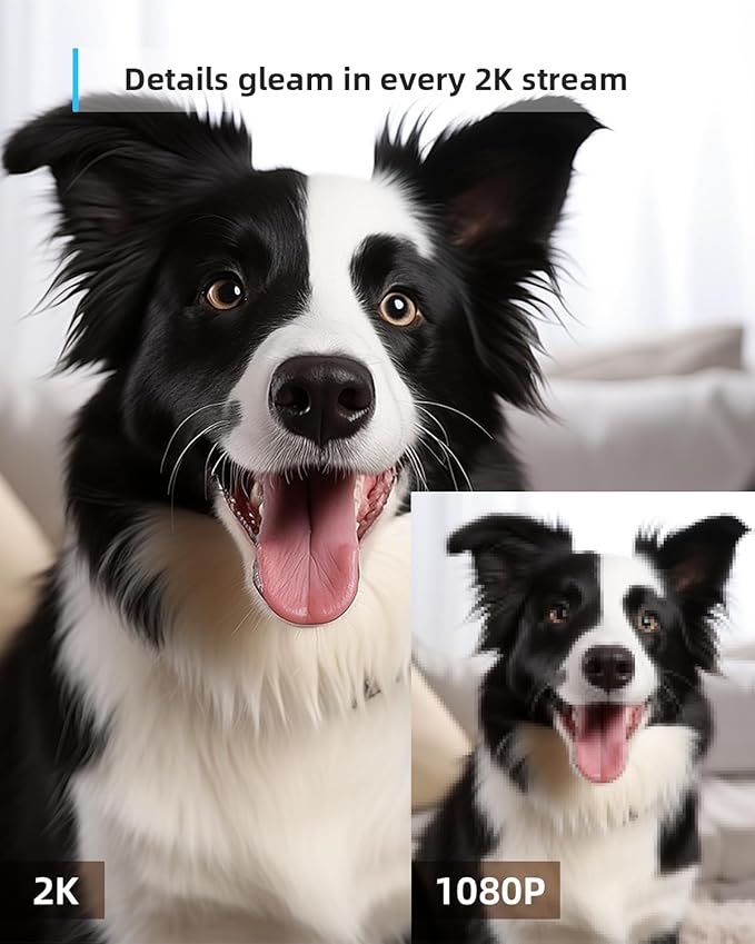 blurams Indoor Camera, 2K Pet Camera 360° Cameras for Home Security with Phone App, Motion Tracking, 2-Way Audio, IR Night Vision, Siren, Compatible with Alexa & Google Assistant