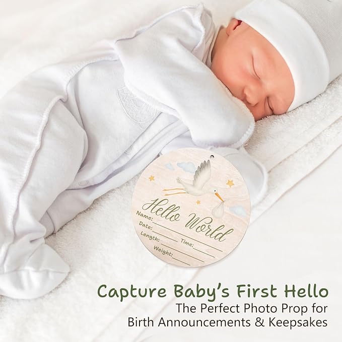 Hello World Baby Announcement Sign, Stork Newborn Sign, 6.7 Inch Round Wooden Name Sign for hospital, With Ink Pad for Hand and Footprints, Marker Pen, Baby Photo Prop & Keepsake