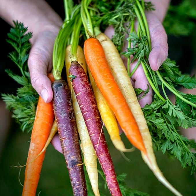 Serenity Kids 6+ Months Certified Organic Baby Food Pouches Veggie Puree - No Sugary Fruits/Added Sugar - 3.5 Oz BPA & Allergen-Free Packaging - Garden Variety Pack - 6 Count Veggie Puree Pouches