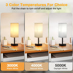 Gray Small Bedroom Lamp - 3 Color Temperature 3000K 5000K 4000K Bedside Lamp, Pull Chain Control, USB A and C Charging Ports, Black Base, for Kids Office Dorm, Bulb Included