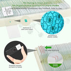 120 Microscope Slides with Specimens,Prepared Microscope Slides for Kids,Glass Slides for Microscope,Prepared Slides for Kids Microscope,Microscope Slide Preparation Kit for Biology Science Classes