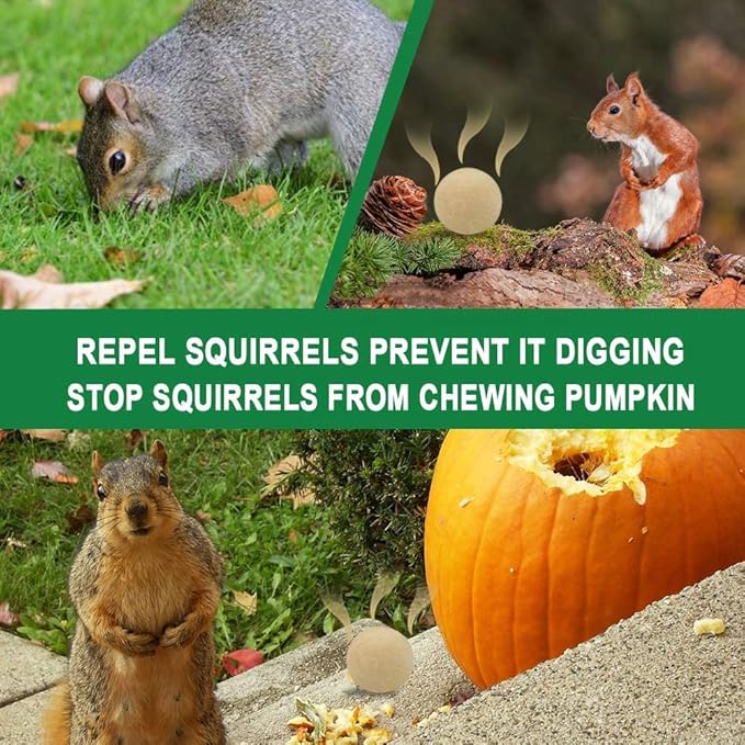 Squirrel Repellent Outdoor, Chipmunk Repellent for Attic/Garden/Bird Feeders/Plants/Cars, Deterrent Squirrels, Keep Chipmunks Away-Pack of 12
