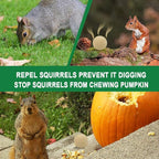 Squirrel Repellent Outdoor, Chipmunk Repellent for Attic/Garden/Bird Feeders/Plants/Cars, Deterrent Squirrels, Keep Chipmunks Away-Pack of 12