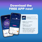 Clearblue Ovulation Test with Clear Digital Results, Over 99% Accurate at Detecting LH Surge, 40 Ct