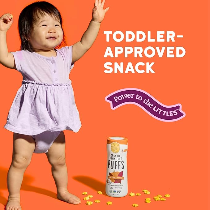Serenity Kids 6+ Months Grain-Free Allergen-Safe Puffs for Toddlers & Babies - No Grains, Gluten, Nuts, Rice - Organic Veggies, Legumes, Olive Oil (1.5 Ounce (1 Count), Pumpkin & Cinnamon)