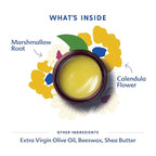 Motherlove Nipple Cream (2 oz) Organic Lanolin-Free Nipple Cream for Breastfeeding—Benefits Nursing & Pumping Moms