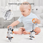 TUMAMA Black and White Baby Toys, High Contrast Tummy Time, Newborn Soft Books Mirror Rattles, Montessori Sensory 0-12 Months, Hanging Infant for Carseat Stroller Play Mat Crib