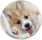 Spin Flip Puzzle - Puppies & Kittens - Spin it, Flip it, solve it! for Those who love brain teasers! Adult Fidget Toy. Great Gift for Mom, Dad, Teens, Men and Women