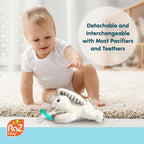 RaZbaby JollyPop Pacifier, Holder with Detachable Baby Pacifier, Stuffed Animal RaZbuddy, All Ages 0M+, 100% Medical Grade USA Made Silicone, Machine Washable, Textured & Easy to Hold – Bunny