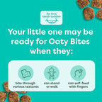 Beech-Nut Toddler Snacks, Oaty Bites with Fruit & Whole Grains, Mixed Berry Toddler Snack Bites for Toddlers 12 Months & Older, Pack of 6 Boxes (42 single-serve bags)