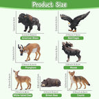 Toymany 14PCS Mini North American Forest Animals Figurines, Realistic Jungle Animal Toys Includes Elk Pronghorn Jaguar Gey Fox for Kids Adults Toddlers