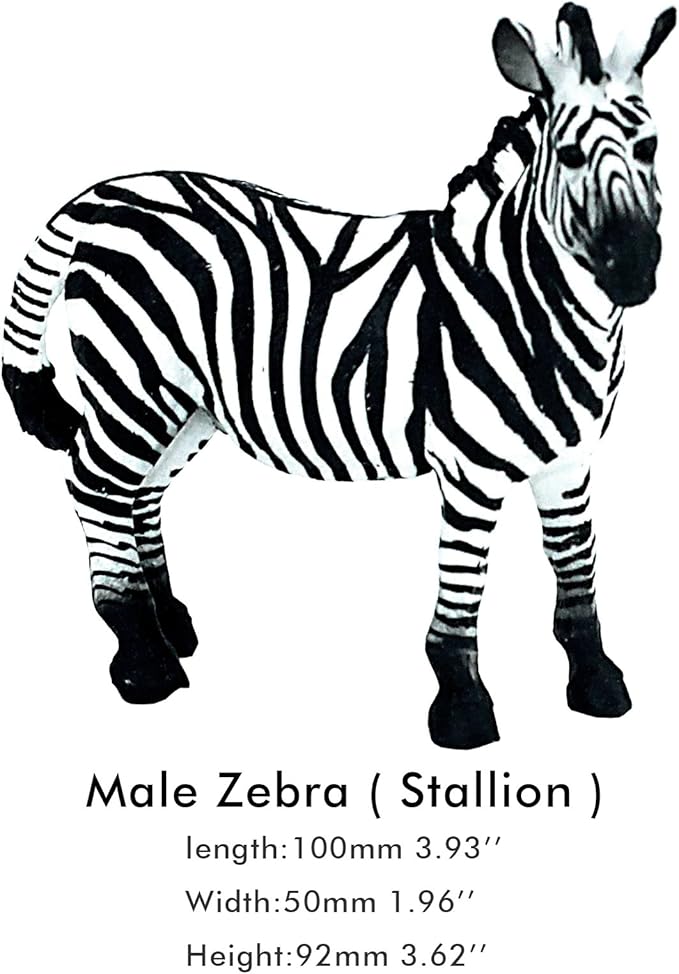 FUNSHOWCASE African Jungle Animals Toy Zebras Figure Realistic Plastic Figurine Playset Lot 2-Piece