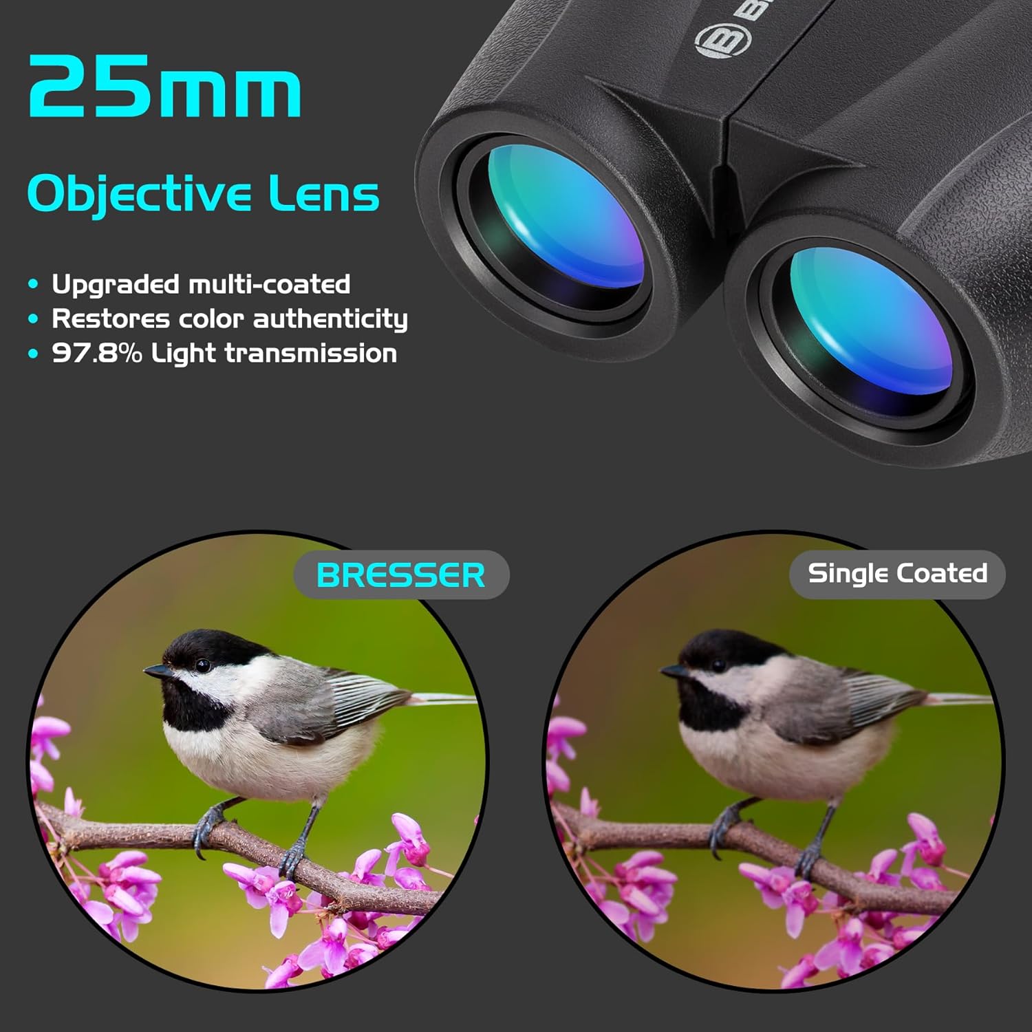 BRESSER 10x25 Binoculars for Adults and Kids, Folding Compact Binocular with Weak Light Vision, Lightweight Small Binoculars for Bird Watching, Travel, Concerts, Hunting, Hiking, Black