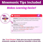 Pharmacology Flash Cards – No Fluff – Nursing School Essentials for Students – 2025-2026 NCLEX ATI HESI Review LPN RN Flash Cards (223 Cards)