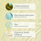 OSEA Undaria Algae™ Body Wash 8 fl oz - Hydrating & Moisturizing Body Wash - Citrus Scented Cleanser