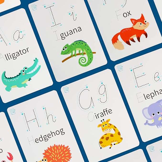 28 Pcs Letters Words Number Math Counting Recognition Cards for Kindergarten Preschool Toddlers Educational Toys RZKP-01 (Letters)