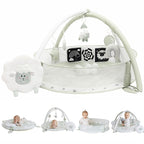 6-in-1 XL Play Mat & Play Gym, Baby Gym, Baby Activity Gym, Sensory Exploration and Motor Skill Development Toys (Sage)