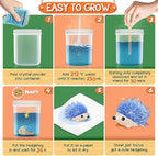 XXTOYS Crystal Growing Kit for Kids - 4 Vibrant Colored Hedgehog to Grow - Science Kits for Kids Age 6-8, Toys for Boys Age 8-12, Great Gifts Idea for 9 Year Old Girls, STEM Projects
