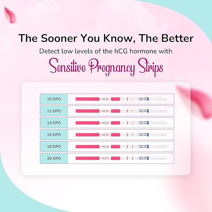 Clinical Guard 5 Pregnancy Tests Strips - Sensitive & Accurate Measurement Within 5 mins - Early Detection Pregnancy Test Strip - Easy to Use for Home Tests - HCG Test Strip Kit