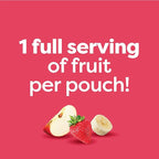 Beech-Nut Stage 2 Baby Food Pouches Variety Pack, Fruit Purees for Babies, Non-GMO, Dairy-Free, 3.5 oz (18 Pack)