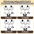Black and White High Contrast Baby Toys - Sensory Infant Hanging Carseat & Stroller Toy for Newborns 0-6,6-12Months Perfect Easter Birthday & Baby Shower for Babies Boys Girls