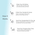 6-in-1 Female Hormone Test | Progesterone | Estradiol | LH | FSH | TSH | at-Home Test | Cap & CLIA Accredited Lab |Tests are not Avail in NY, RI
