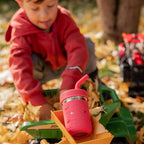 Pandaloo® Smoothie Cups for Kids - Stainless Steel Toddler Tumbler with Straw, Sippy Cup for Smoothies - BPA-Free, Toddler Snack Cups, 10 oz