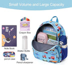 CLUCI Toddler Backpack for Boys Kids Backpacks Preschool Kindergarten Child Bookbag Travel Cute Daycare Bluey Backpack Cars