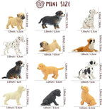 Toymany 12PCS Mini Dog Figurines Playset, Realistic Detailed Plastic Puppy Figures, Hand Painted Emulational Tiny Dogs Animals Toy Set, Cake Toppers Christmas Birthday Gift for Kids Toddlers