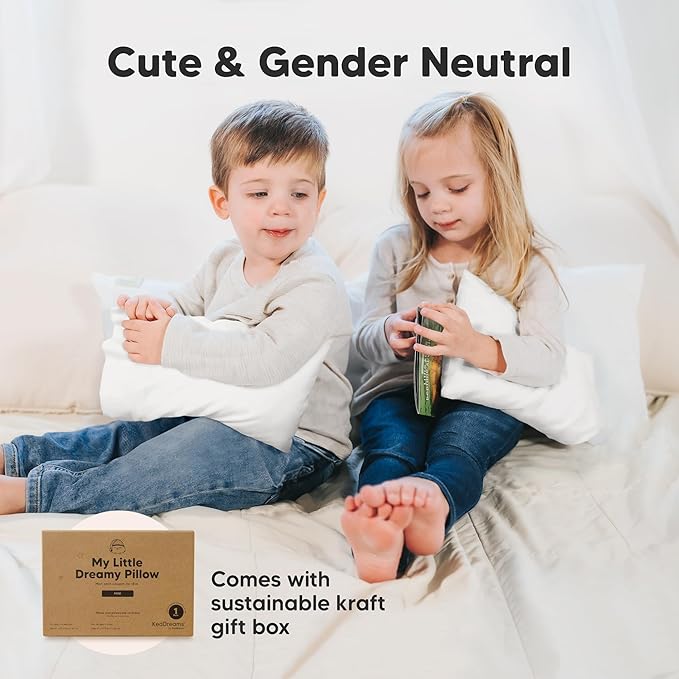 Mini Toddler Pillow with Pillowcase - 9x13 My Little Dreamy Travel Kids Pillow for Sleeping, Toddler Bed, Small, Tiny, Organic Cotton Pillowcase, Soft & Breathable, Kids 2-4 Years Old (French Gray)