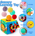 beetoy Sensory Busy Cube for Baby, Montessori Infant Toys with Textured Sensory Balls, Early Learning Travel Toys for Fine Motor Skills, Perfect Newborn Boy and Girl Gift
