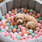 GOGOSO Balls for Ball Pit - Plastic Ball for Toddlers 1-3, Baby Kids Ball Pool Decoration 50 100 200 300 500 1000 (6 Colors, 200 Balls)