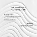 SEEN Shampoo & Conditioner Bundle, Fragrance-Free - Non-Comedogenic & Sulfate-Free Hair Care - Dermatologist-Developed, Safe for Sensitive, Eczema & Acne-Prone Skin