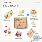 Tiny Land Montessori Toy Set for Babies 7-9 Months Senser Play Kit - 5-in-1 Wooden Learning Toys with Object Permanence Box, Sensory Ball, Stacking Cups and Mirror Puzzle,Body Board Book