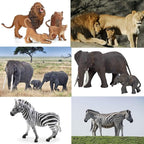 BOLZRA Safari Zoo Animals Figures Toys, 14 Piece Realistic Jungle Animal Figurines, African Wild Plastic Animals with Lion, Elephant, Giraffe Educational Learning Playset for Toddlers, Kids, Children