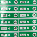 48pcs Prepared Plastic Microscope Slides Biological Specimen with 4 Boxes for Children Student Enlighten Education