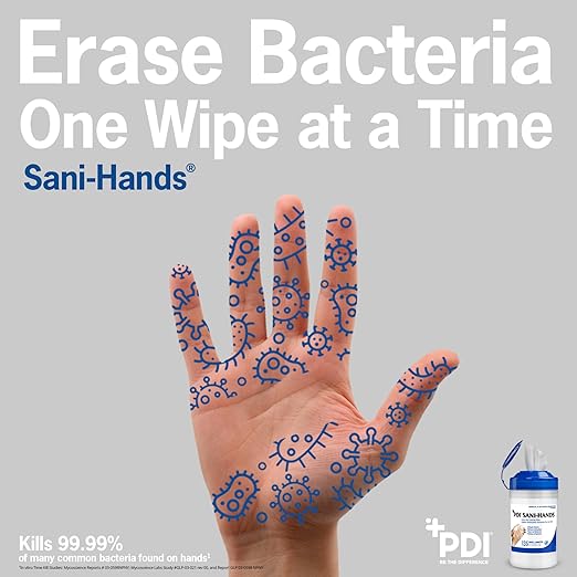 Sani-Hands Hand Sanitizer Wipes 100 Packets Per Box